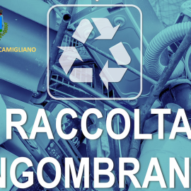 RACCOLTA INGOMBRANTI 21 GIUGNO 2022